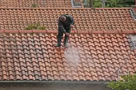 Nettoyage et démoussage de toiture à Bégadan à Bégadan